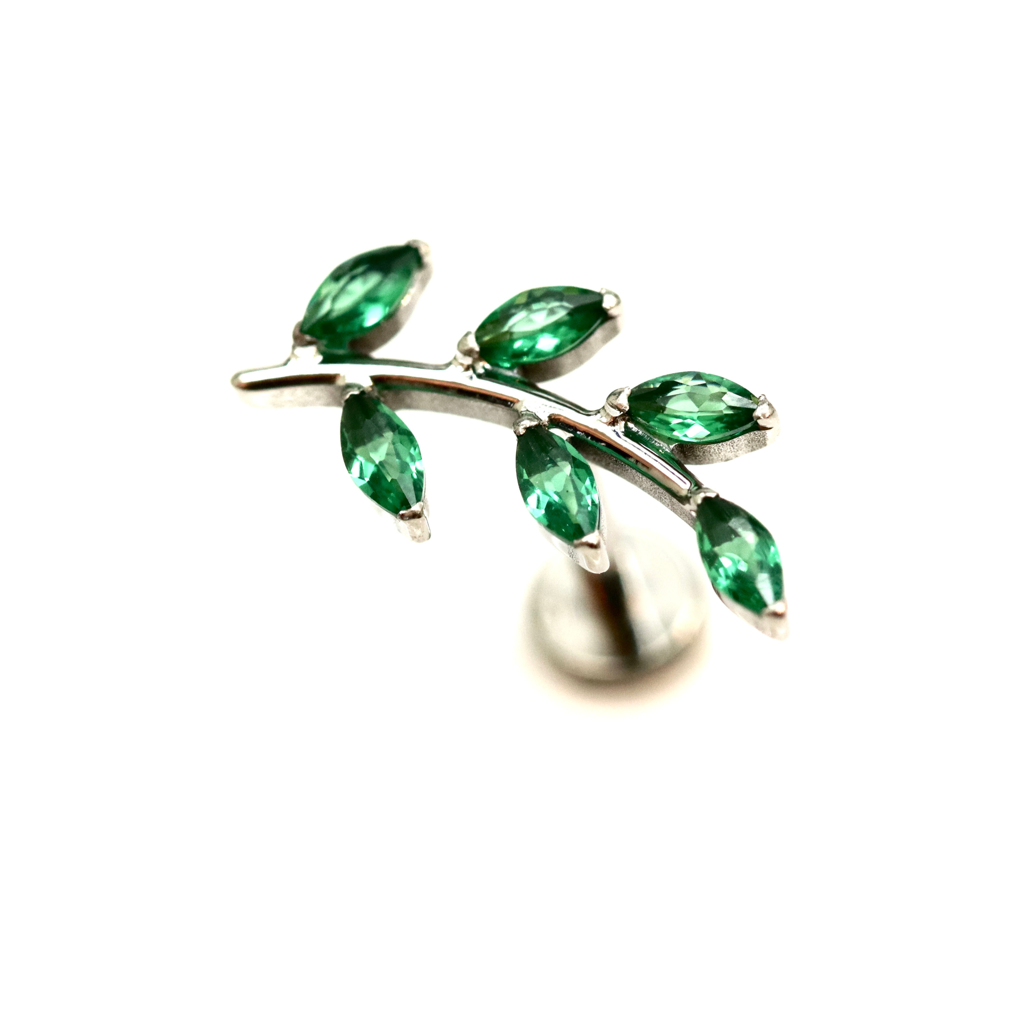 ענף משובץ ירוק